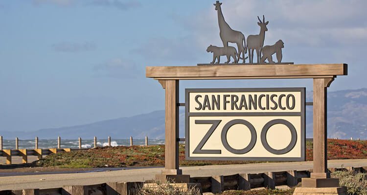 Boo at the Zoo: San Francisco Zoo in San Francisco — Bay Area family event