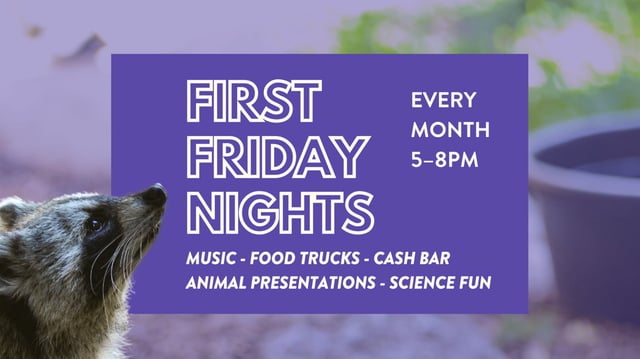 First Friday Nights at CuriOdyssey  in San Mateo — Bay Area family event
