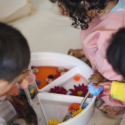 Mini Camp 🏕️ 3-5 yo in Sunnyvale — Bay Area family event