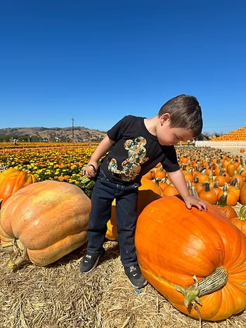 Boy touching pumpkin