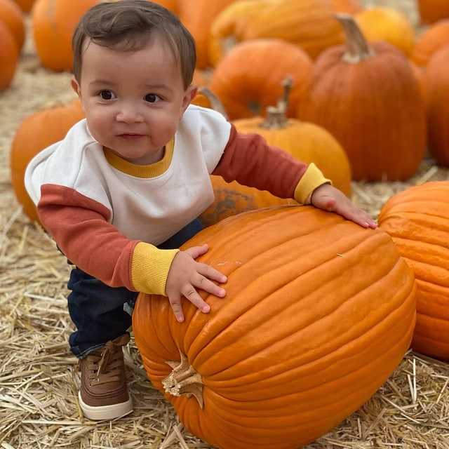 Little boy with pumpkin