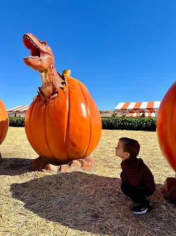 Dinos at Spina farms